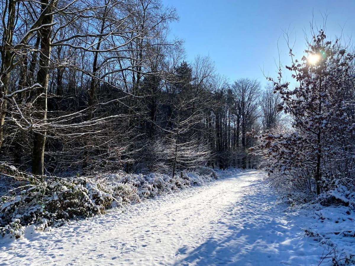 Vakantiewoning Hakuna Matata Geraardsbergen Buitenkant foto