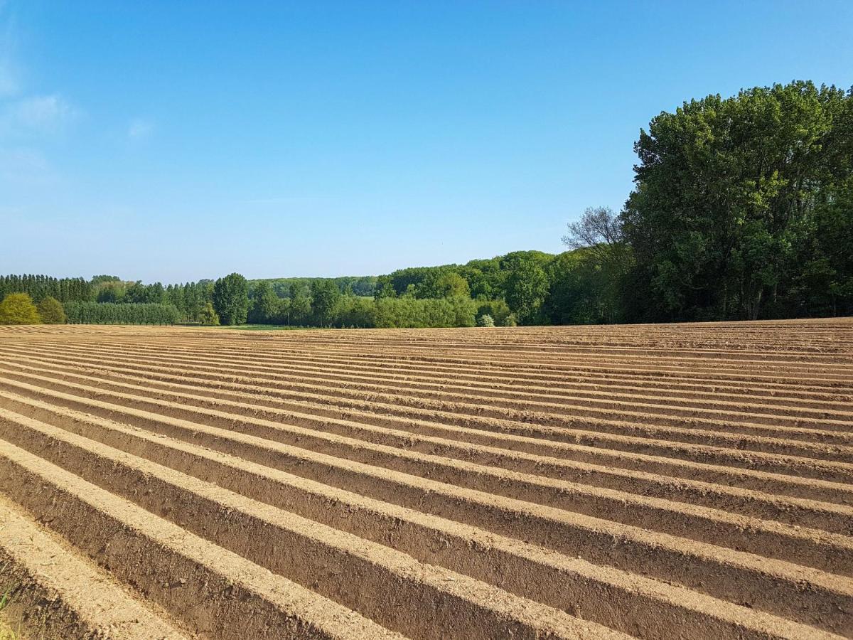 Vakantiewoning Hakuna Matata Geraardsbergen Buitenkant foto