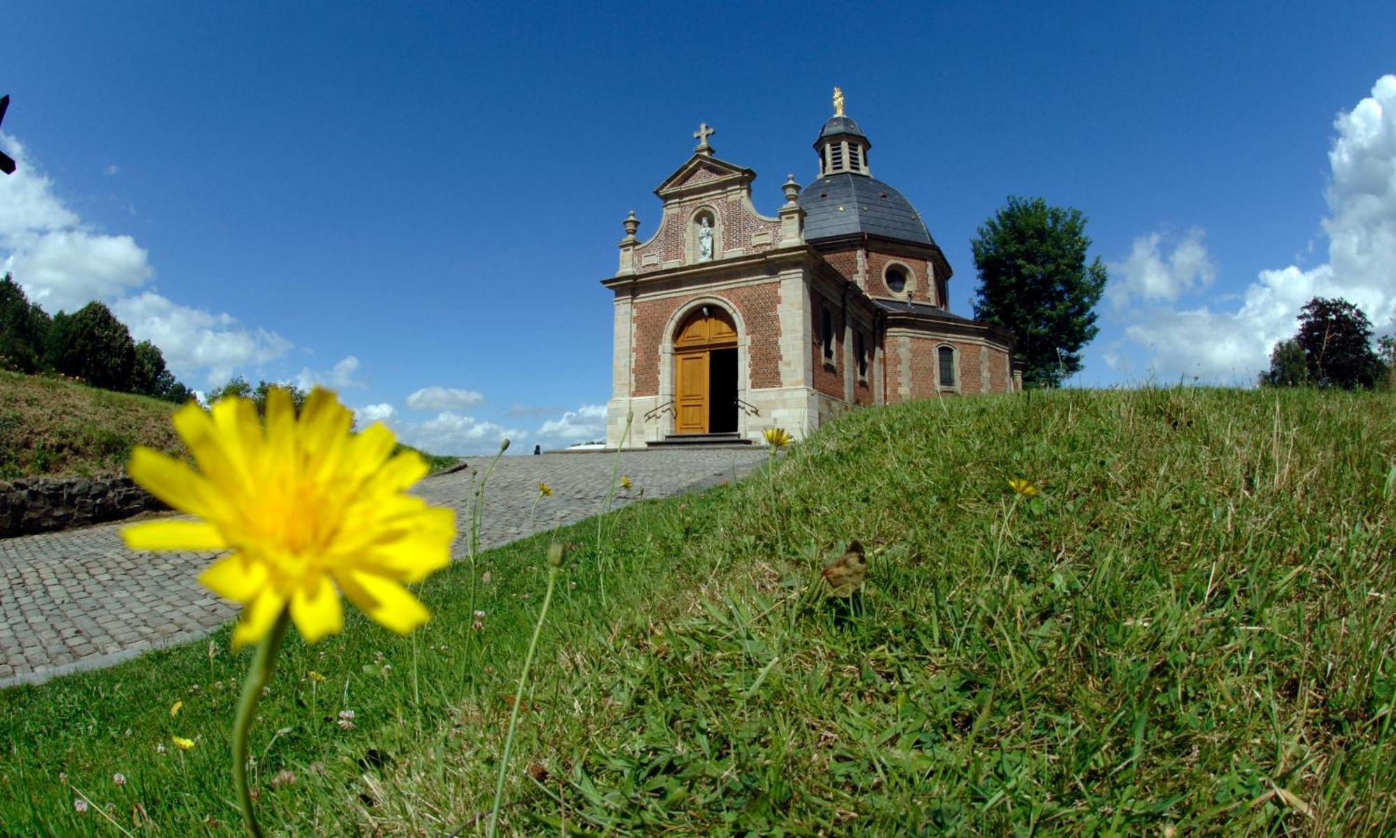Vakantiewoning Hakuna Matata Geraardsbergen Buitenkant foto